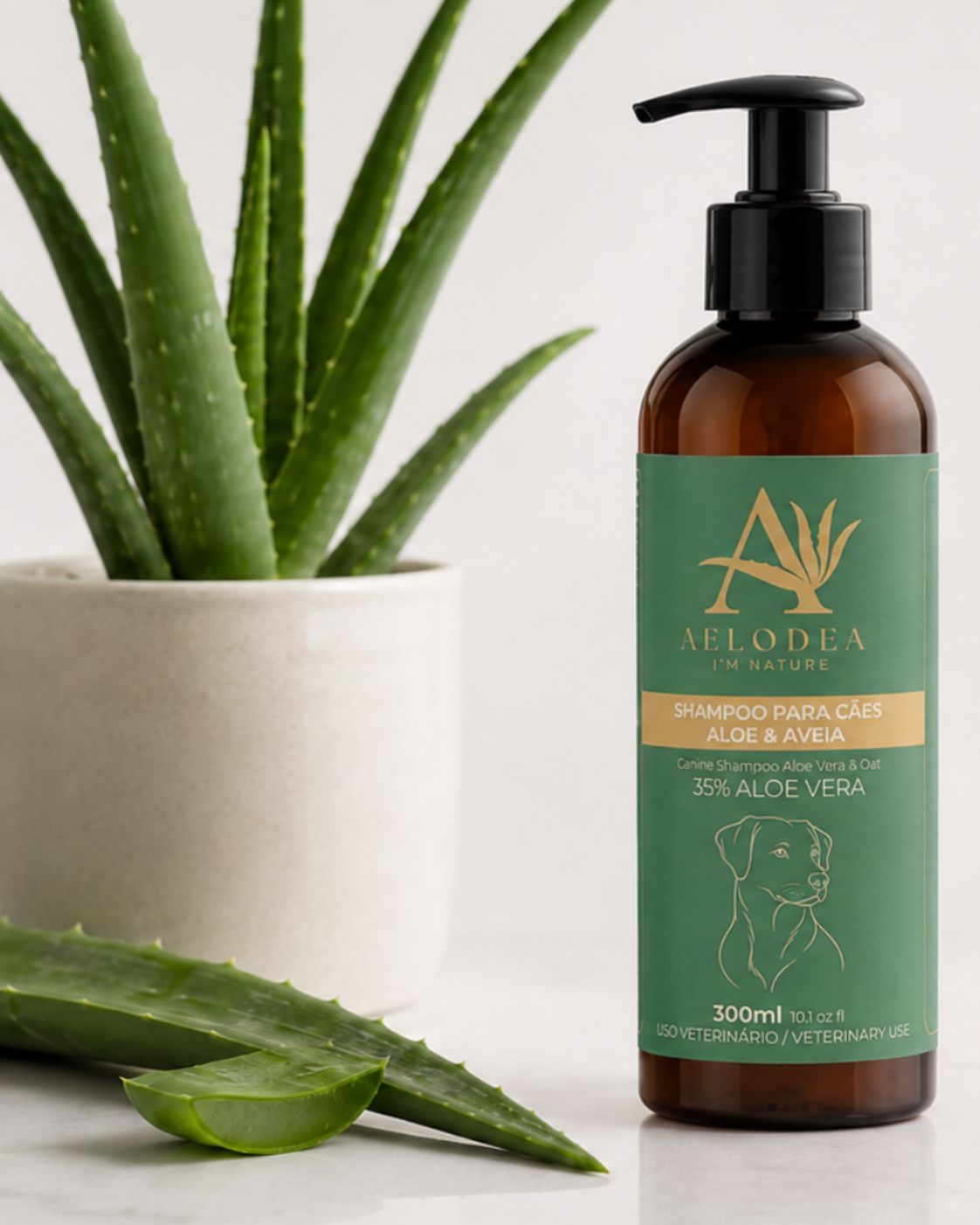 Shampoo Aloe & Aveia
