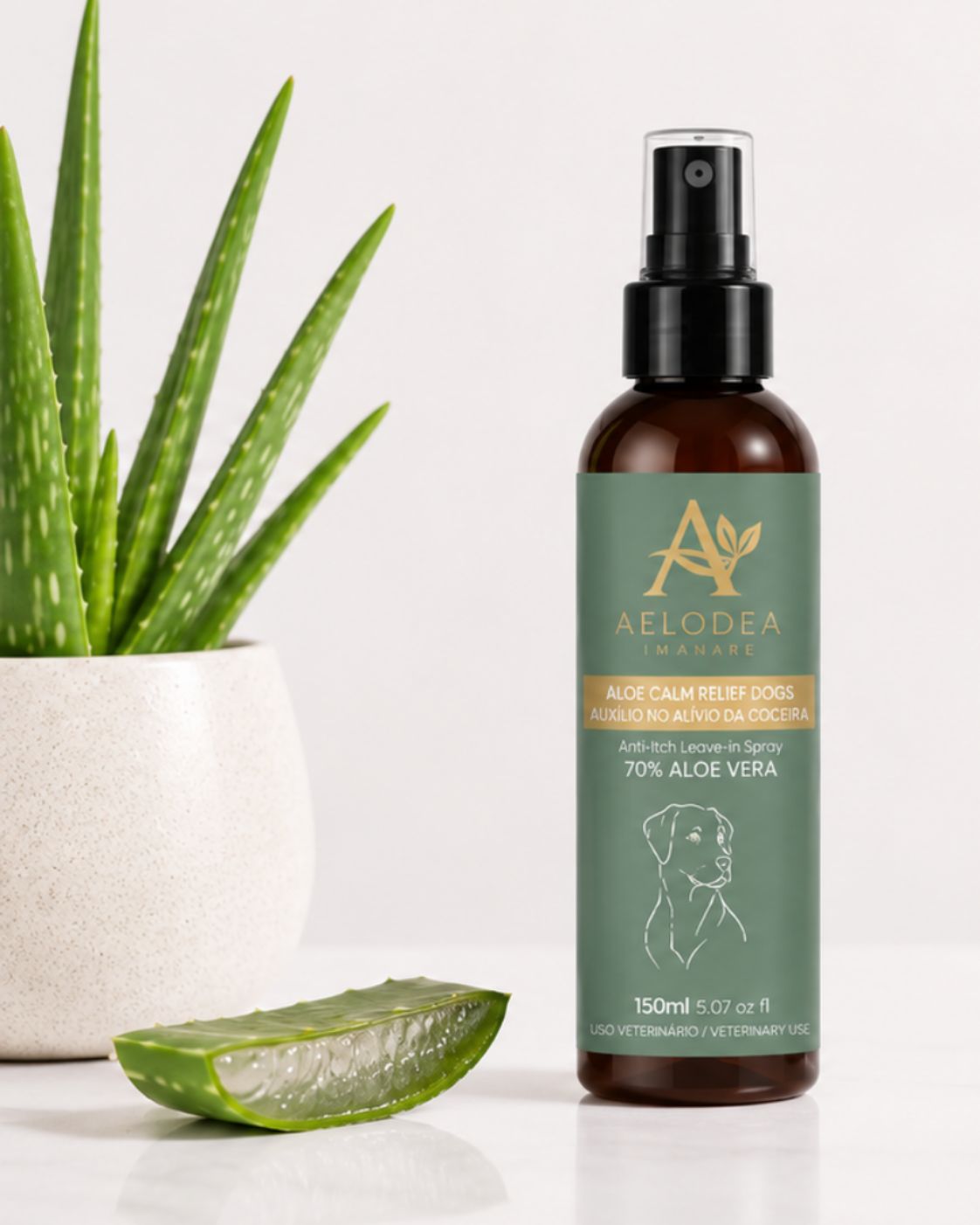 Aloe Calm Relief
