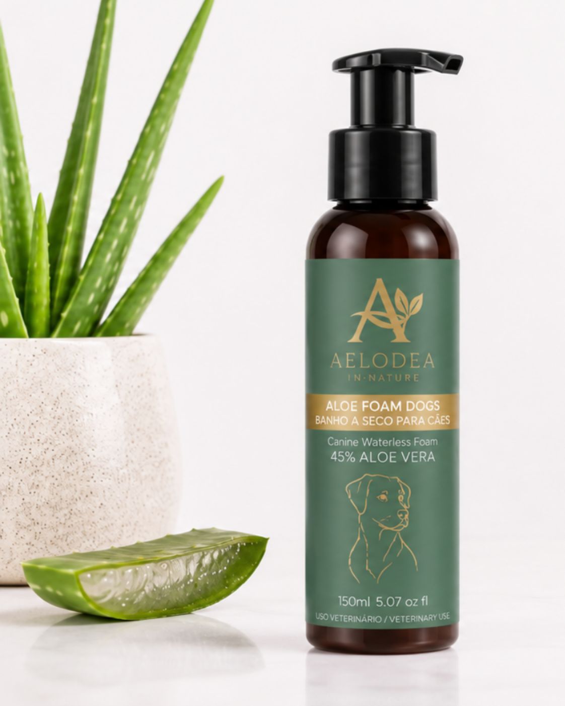 Aloe Foam Dogs