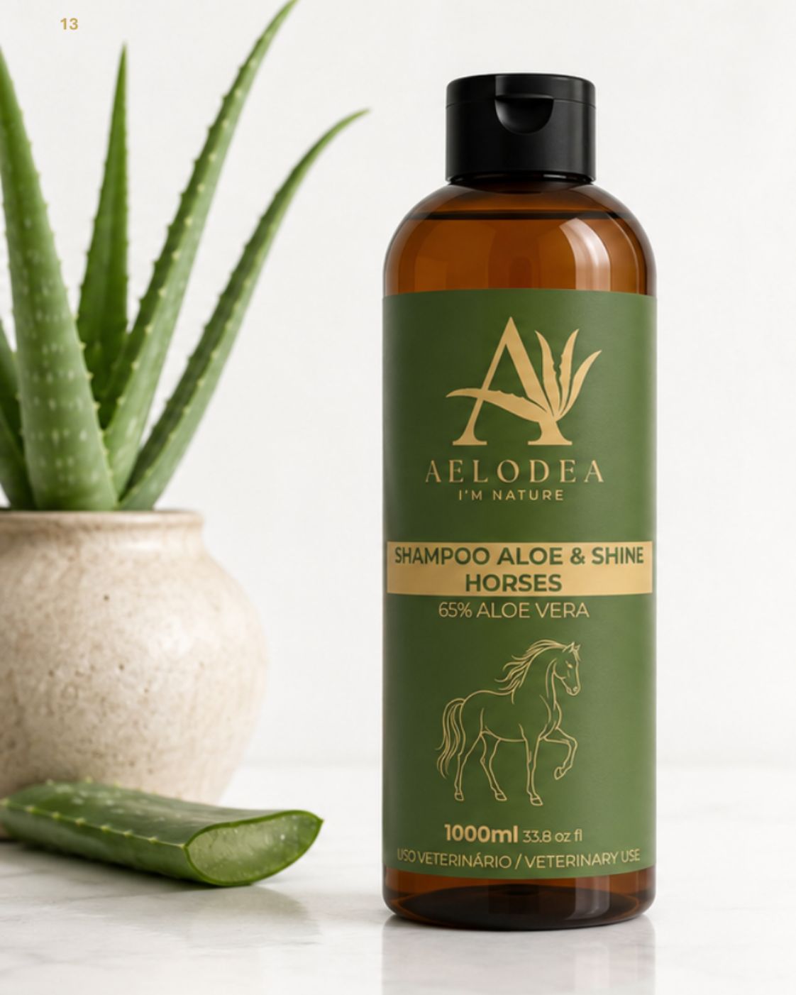 Shampoo Aloe Shine