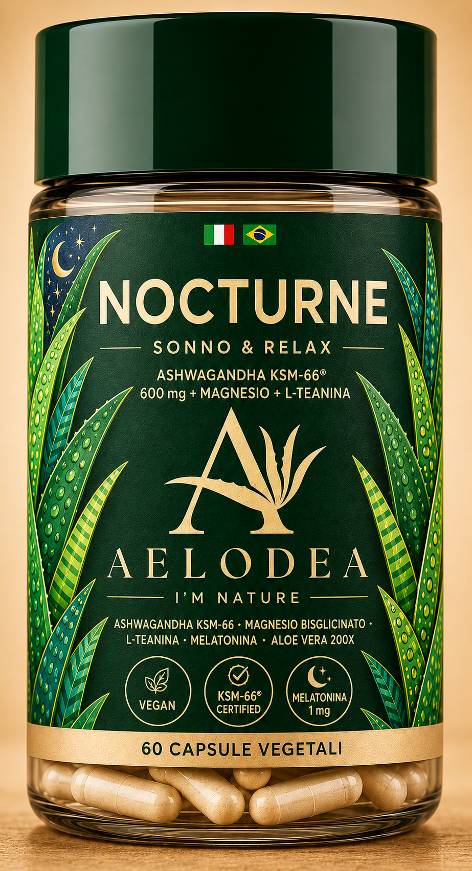 NOCTURNE